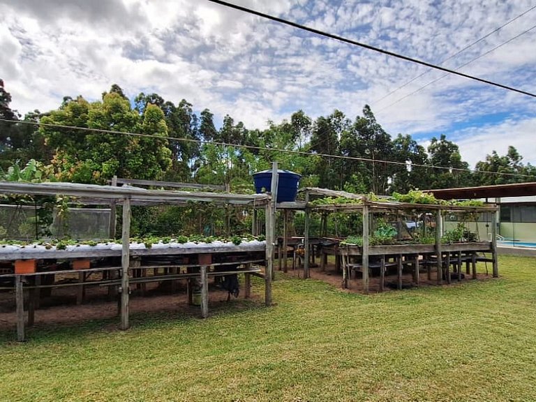 FamiliarIPiscinaICampoIPomarIChurrasqueiraIWi-Fi