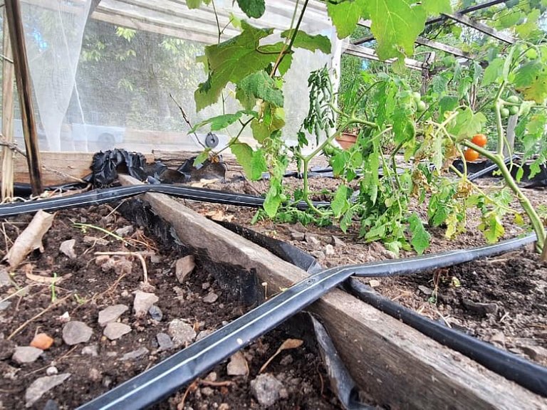 FamiliarIPiscinaICampoIPomarIChurrasqueiraIWi-Fi